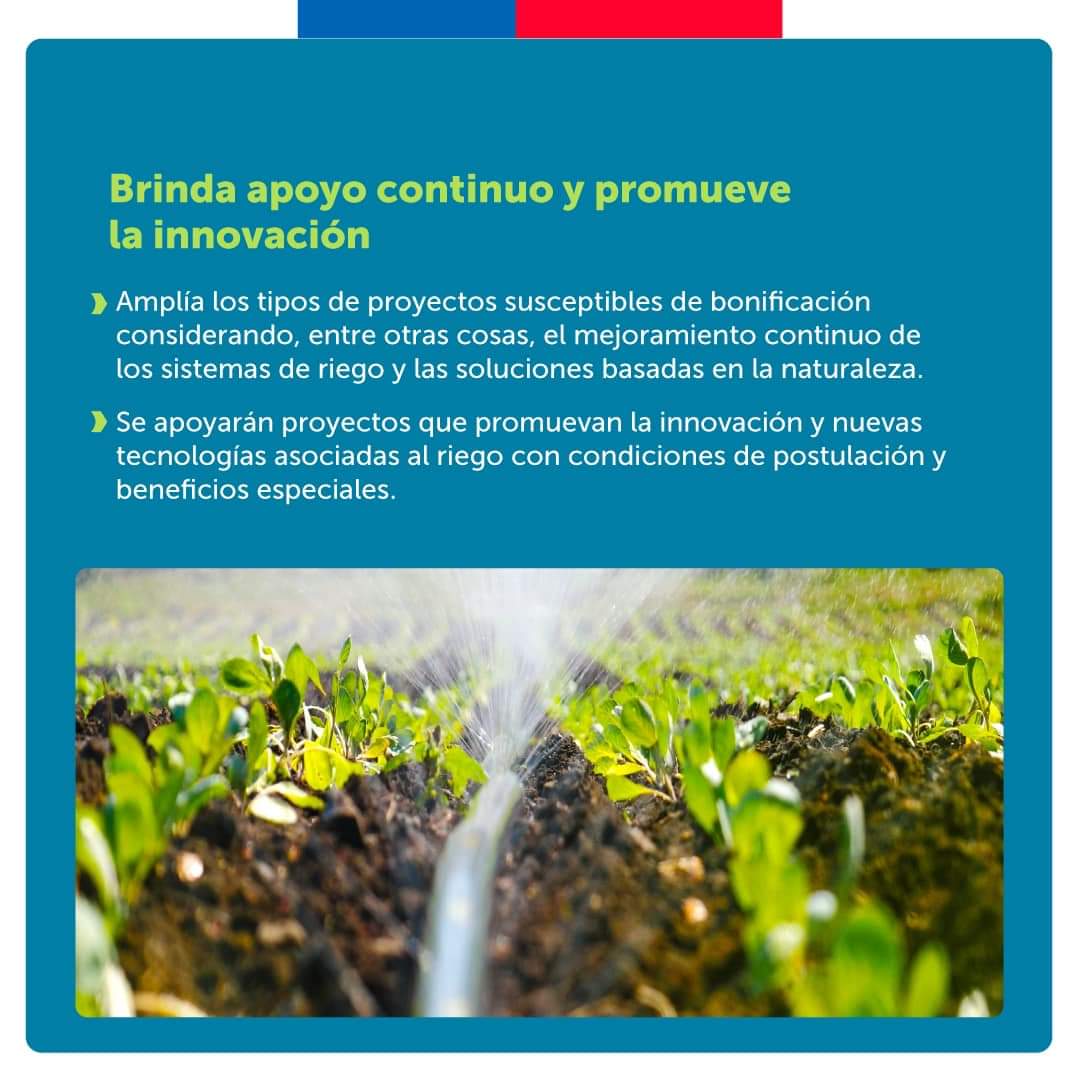INDAP_MAULE's tweet photo. ¡Gran avance para la agricultura con la #NuevaLeyDeRiego!💧🌱

Luego de años de tramitación, nuestro país cuenta con una ley de riego que focaliza los esfuerzos de la CNR en la pequeña y mediana agricultura 👩‍🌾👨‍🌾 y permitiendo un uso más eficiente del agua para el riego 🌾 https://t.co/SseCiCFsXa