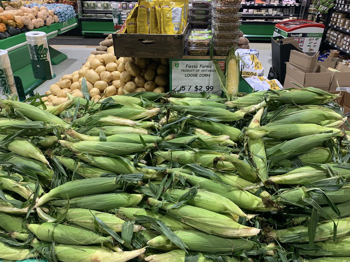 Davidjkruger's tweet photo. @fiestafarms PRICE DROP ON THE BEST CORN IN TOWN!!! #cornfest #cornutopia #cornbread #grilled #boiled #partytime #iaccessorizedandeveneditout https://t.co/0QOm4QT3gZ