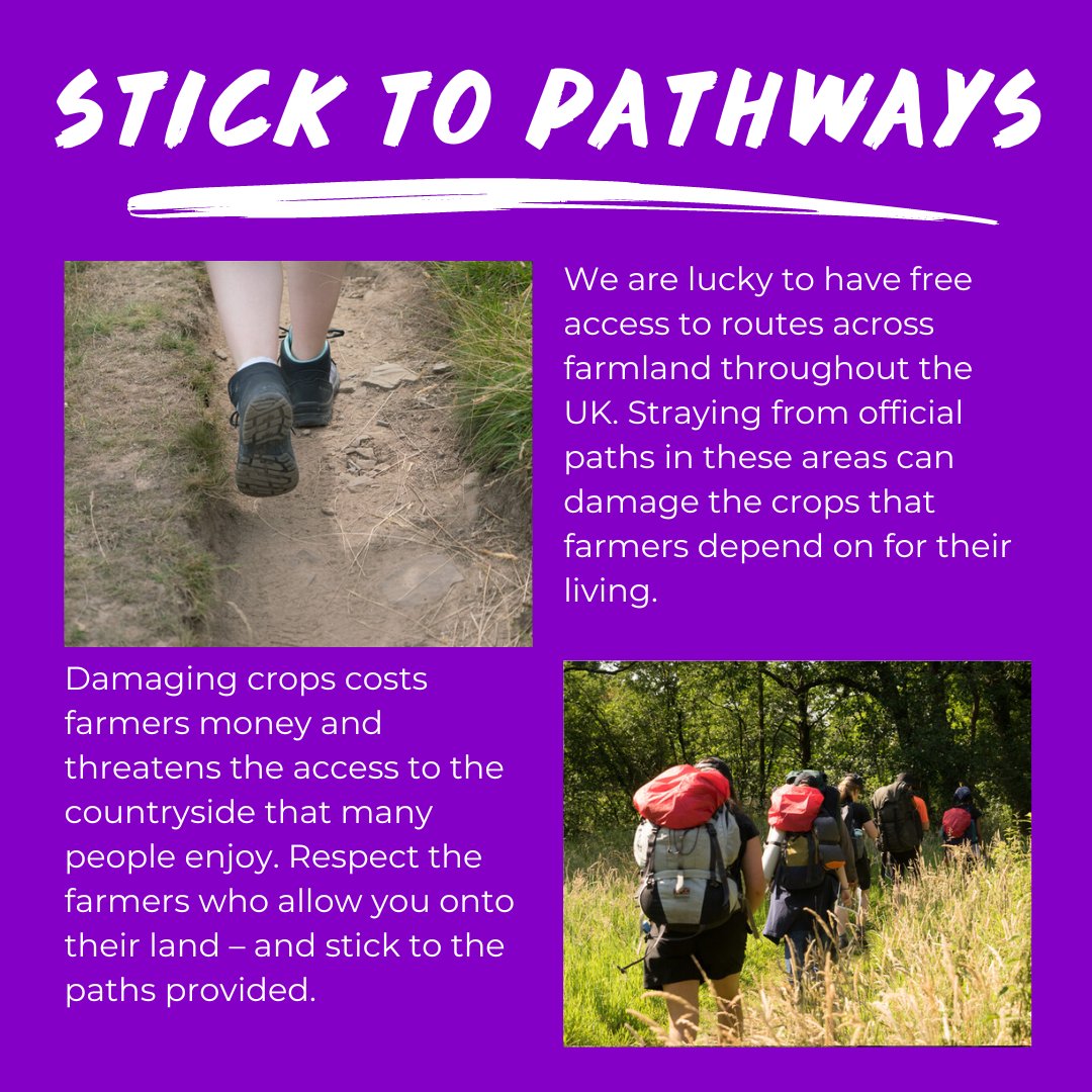 DofE Central England (@dofecentral) on Twitter photo If you're heading on expedition, remember the Countryside Code!
•  Take your litter home
•  Leave gates as you find them
•  Don't light fires
Leave no trace of your visit and #RespectProtectEnjoy If you're heading on expedition, remember the Countryside Code!
•  Take your litter home
•  Leave gates as you find them
•  Don't light fires
Leave no trace of your visit and #RespectProtectEnjoy