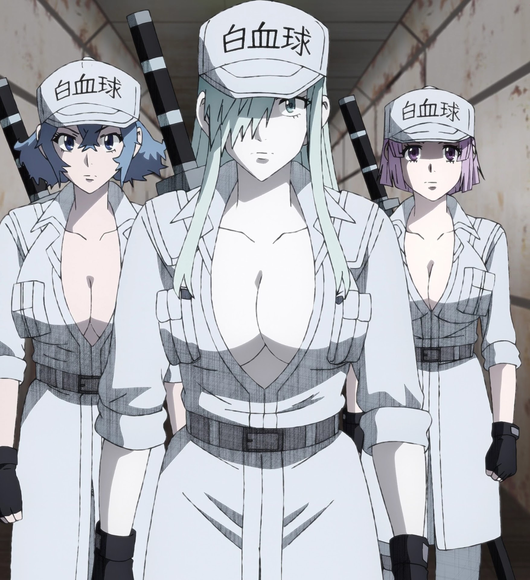 Anime Waifus on X: White Blood Cells Face Forward Anime: Hataraku Saibou  Black  / X