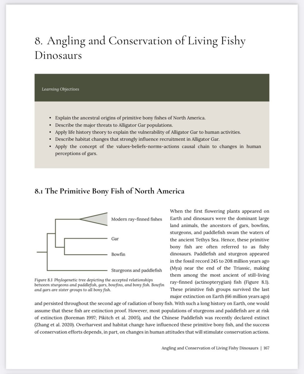 Dr. Solomon David tweet media