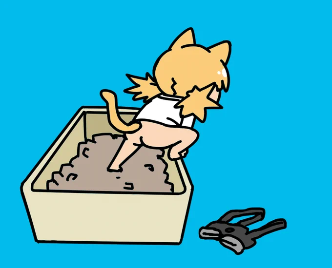 my cousin's cat poop like this pose