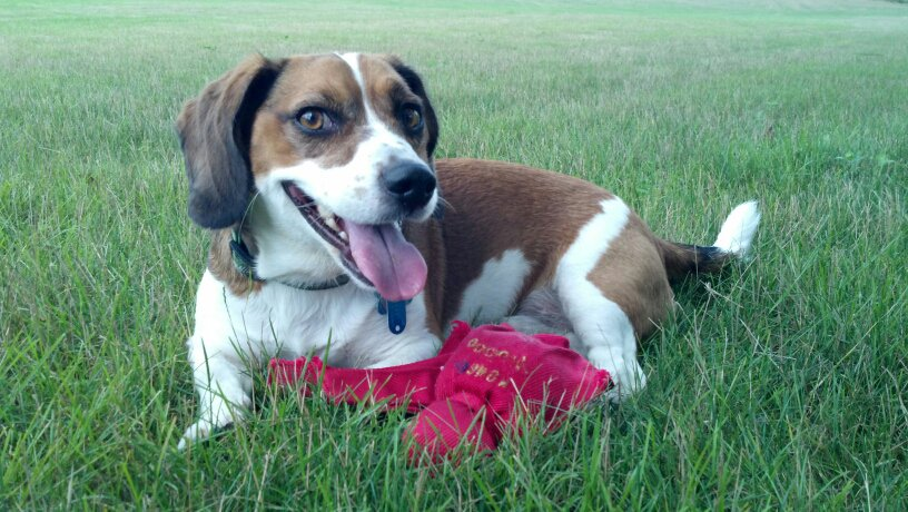 Hard to believe that this picture was taken 11 years ago - Link still has the same level of drip*

*That's what the kids say right?