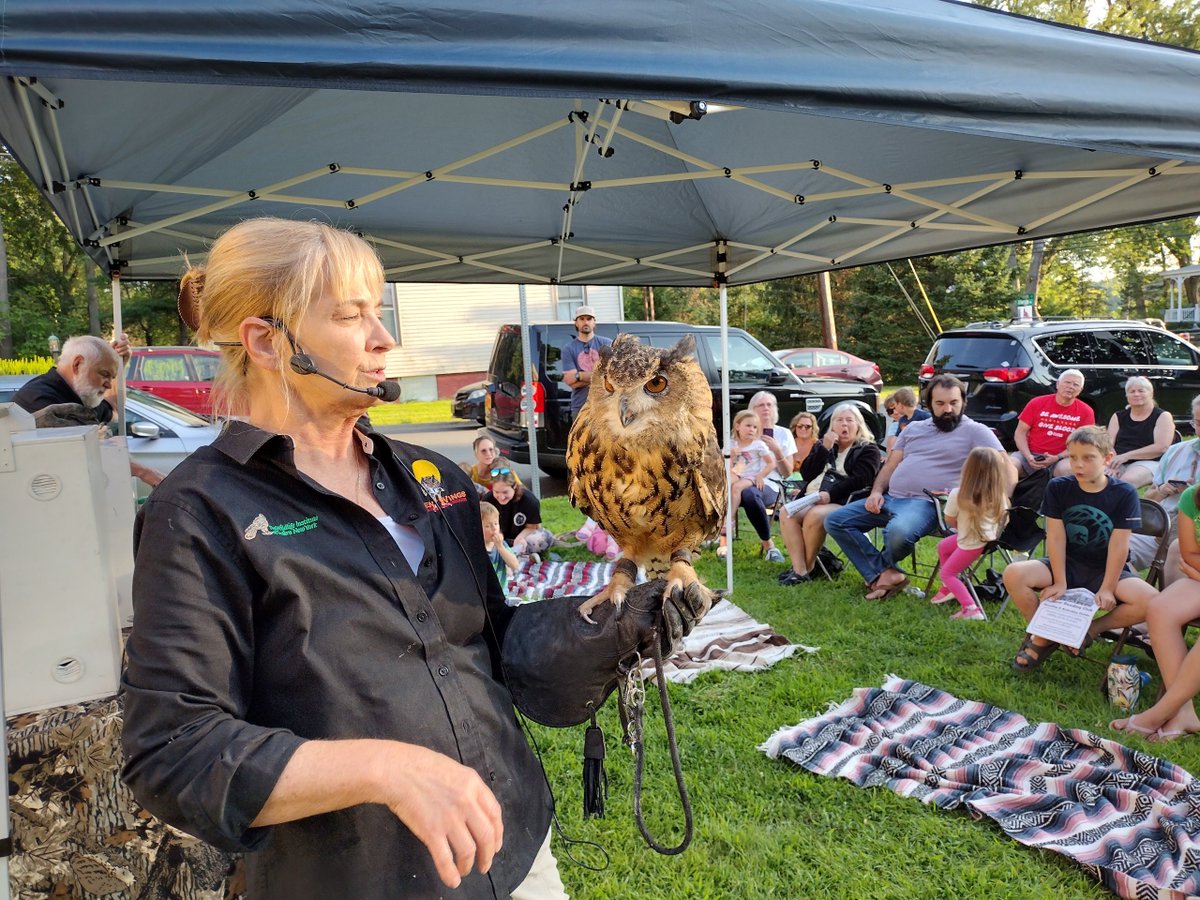 Castleton Library tweet media