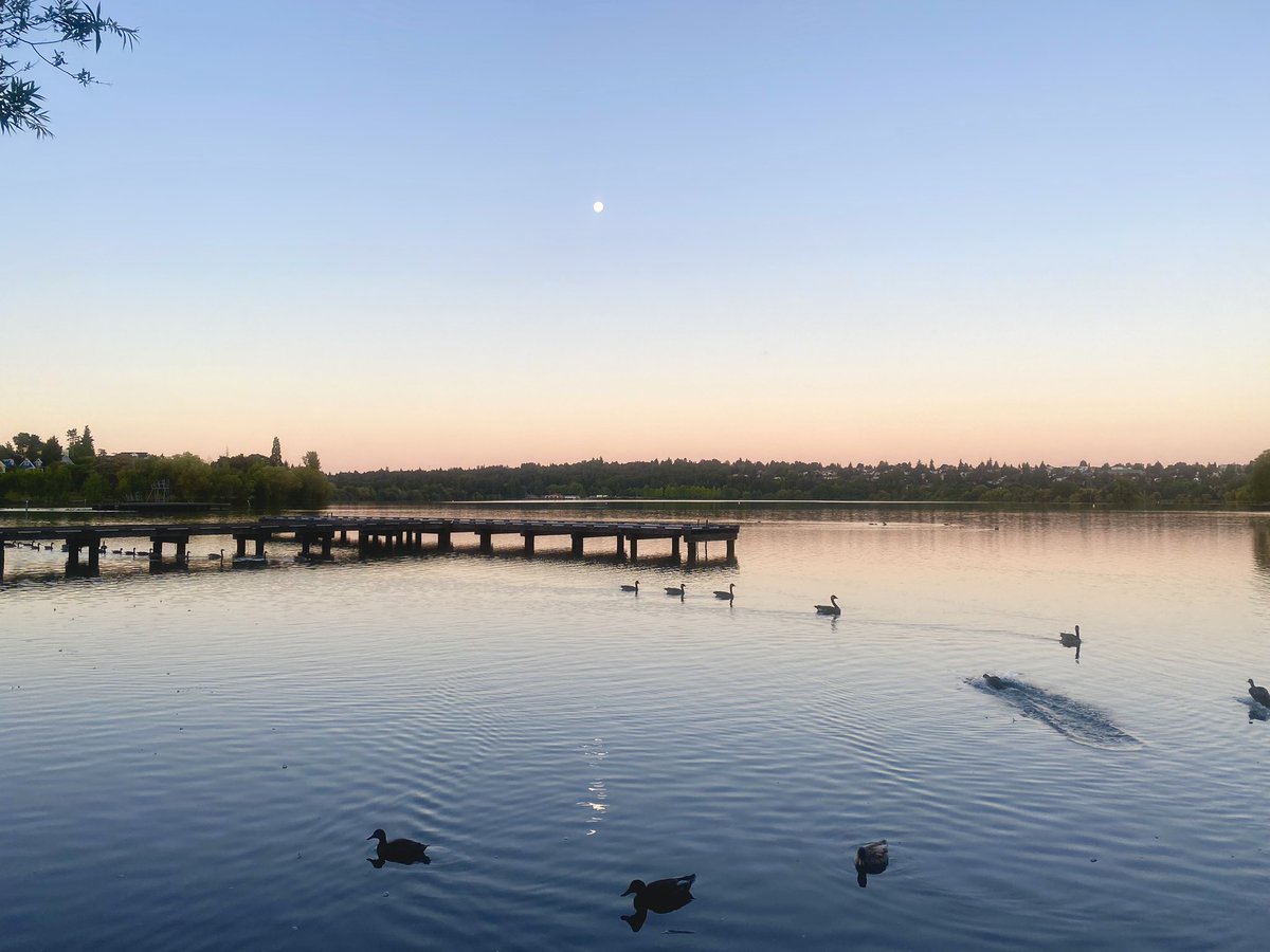 grounds_running's tweet image. Waking up with the moon. Get out there and run!