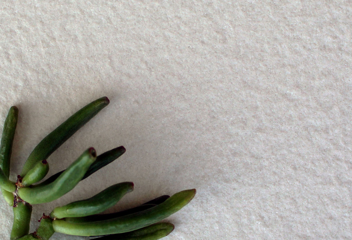 Focuspiedra's tweet image. 🆕 Lapitec actualiza el acabado arena 
buff.ly/3OF7fwN 
#lapitec #acabado #superficies