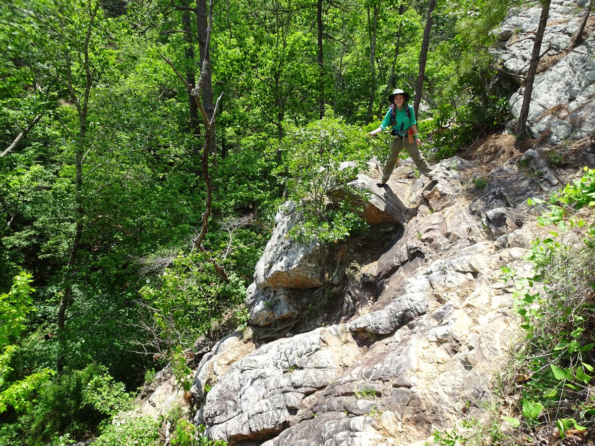 Emma Suzuki Spence tweet media