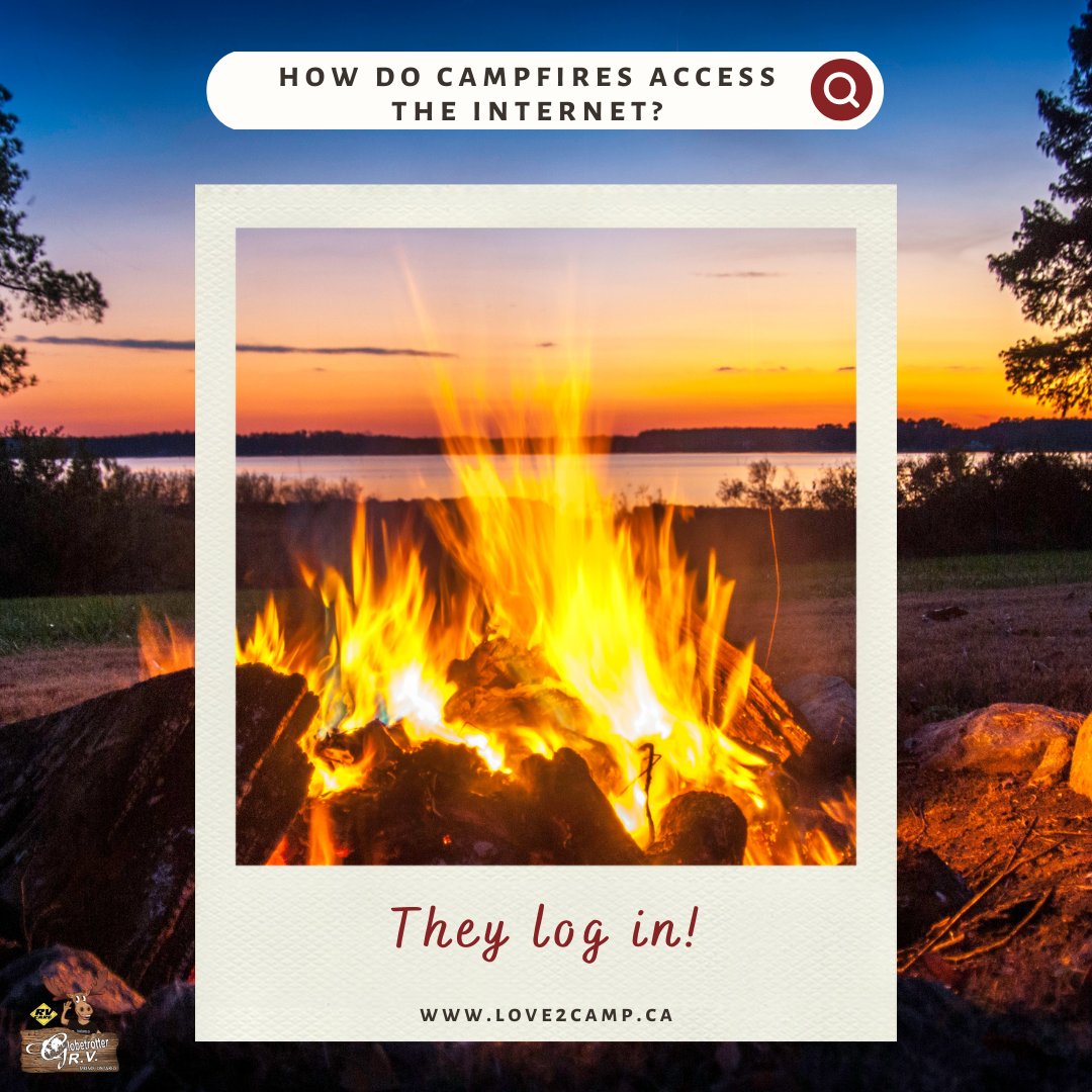 They log in!🪵😂
#GlobetrotterRV