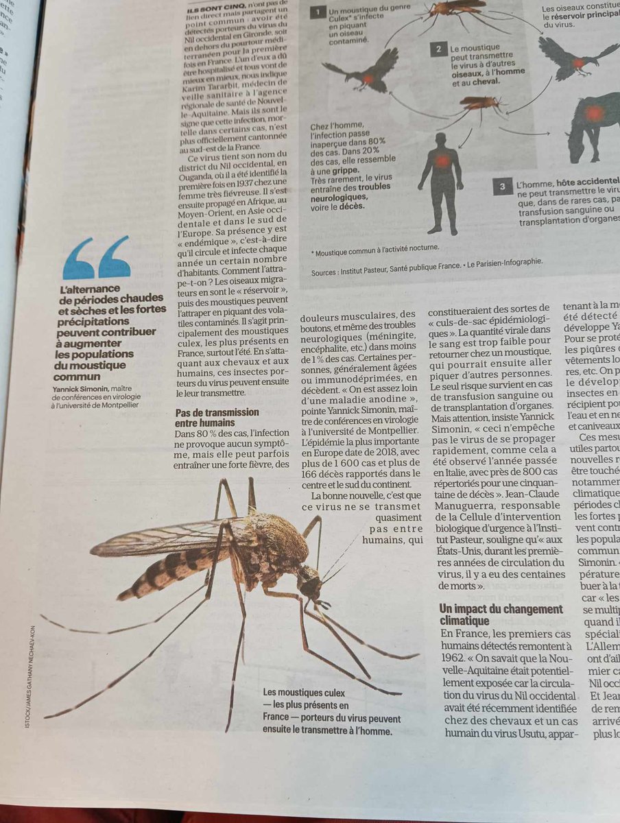 Aurélien Lachaud tweet media