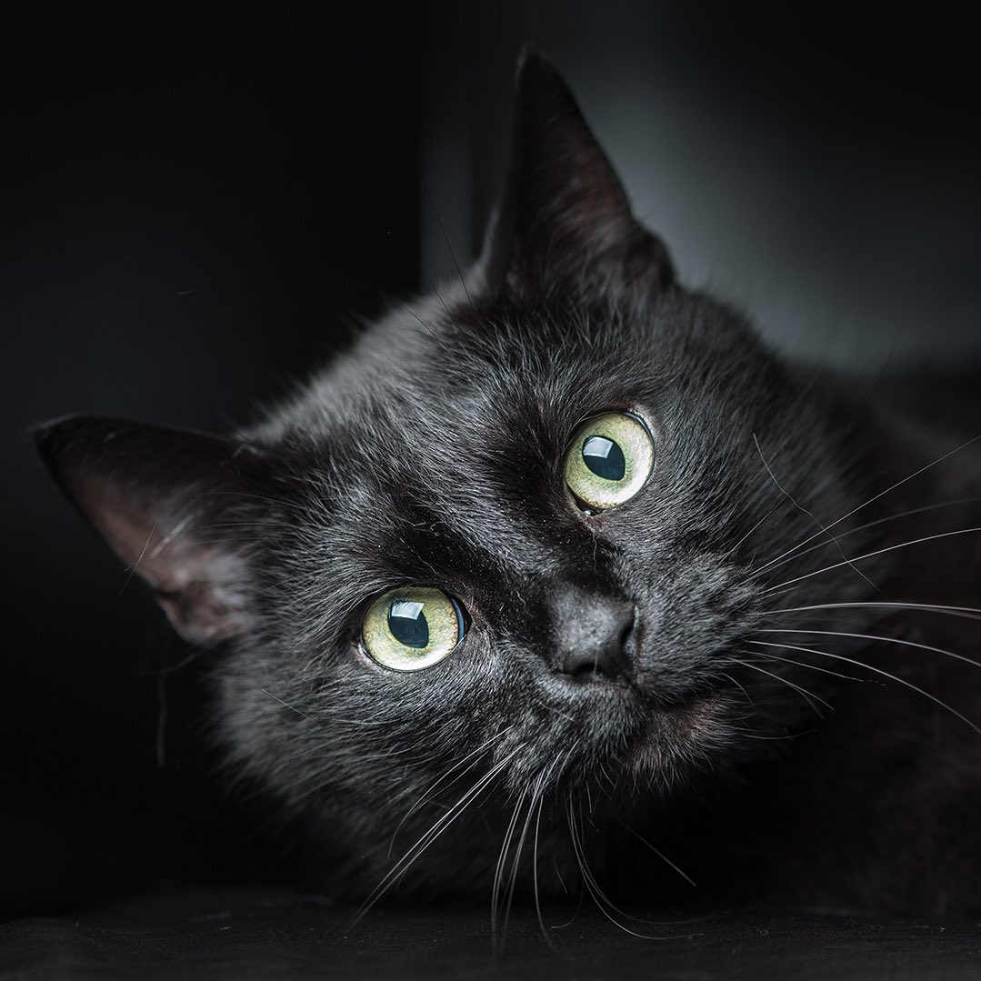 Andreas Levers tweet media