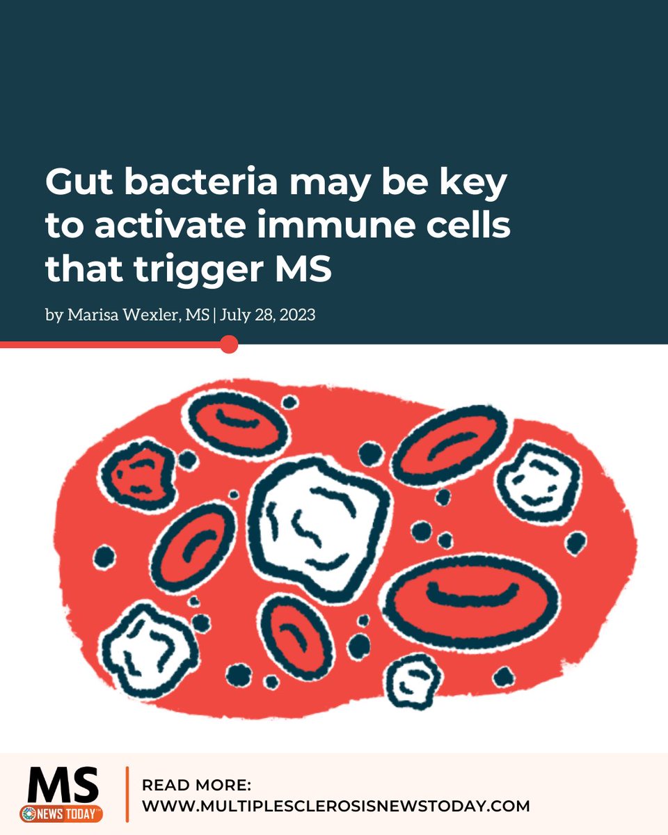 Multiple Sclerosis News Today tweet media