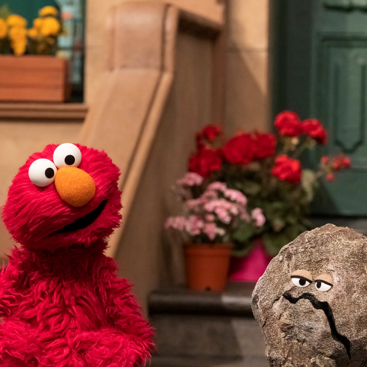 elmo's tweet photo. Would you look at that . . . a rock that could eat a cookie. Interesting. https://t.co/qdHbEtLe1p