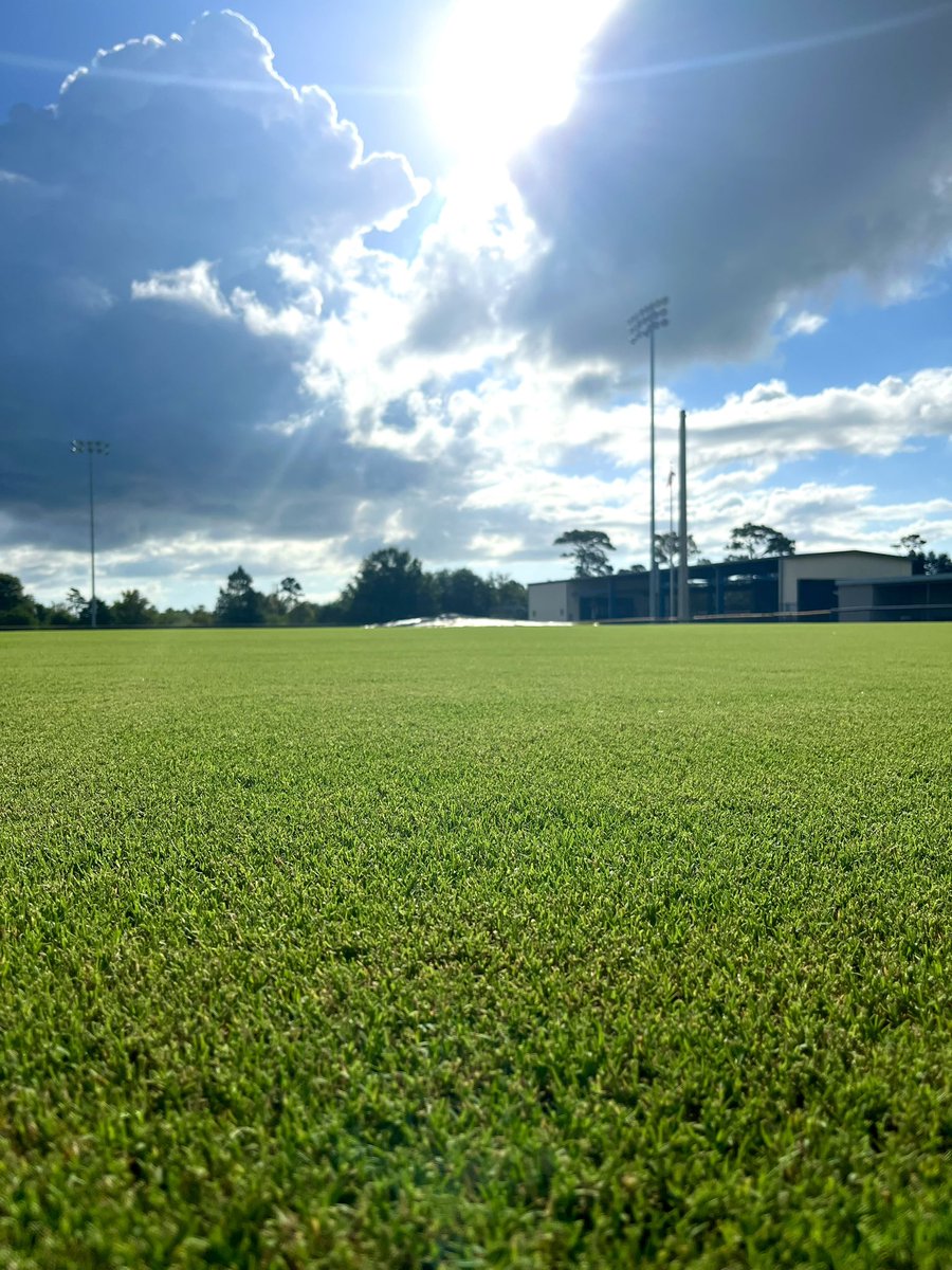 StevenBrownBSB's tweet photo. Counting down the days till the guys are back on campus!! Fall ball is almost here. 1st cut with new reels on the mower got this Hybrid Bermuda popping!! Yes that’s natural GRASS not fake turf! #TitanUp⚔️ #FieldGuy #CollegeBaseball https://t.co/r2xnIwH2Wi
