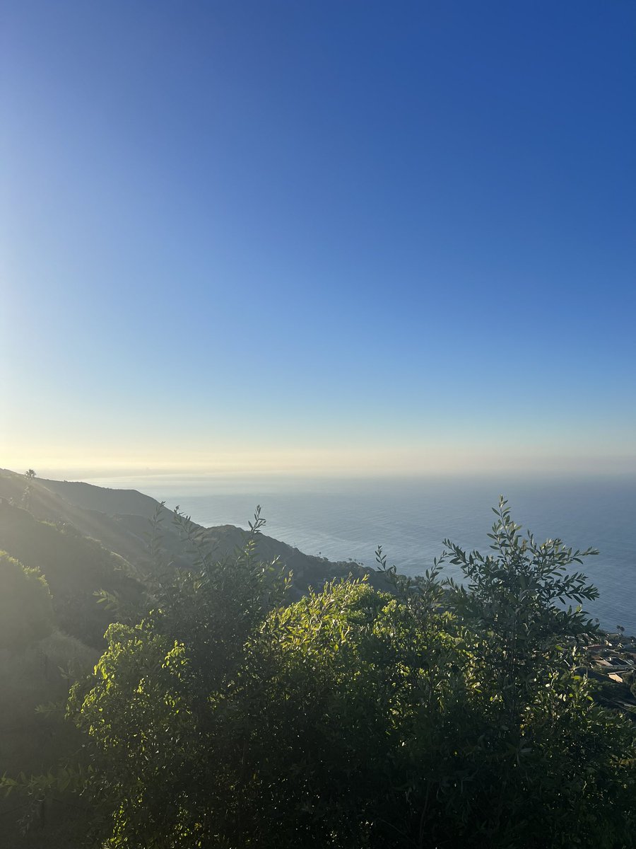 Andrew D. Huberman, Ph.D. tweet media