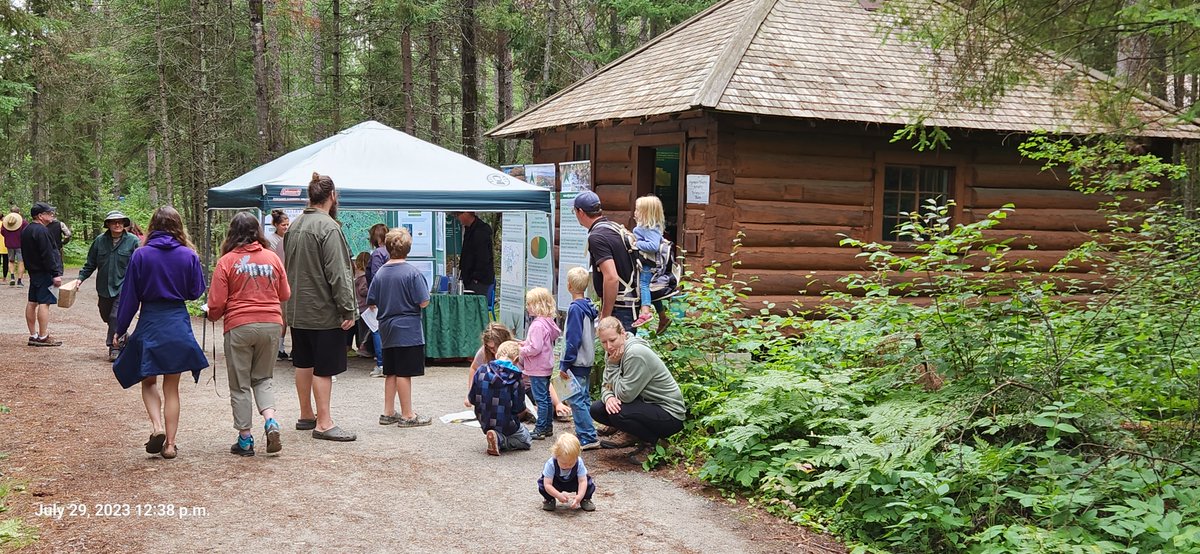 Algonquin Forestry tweet media