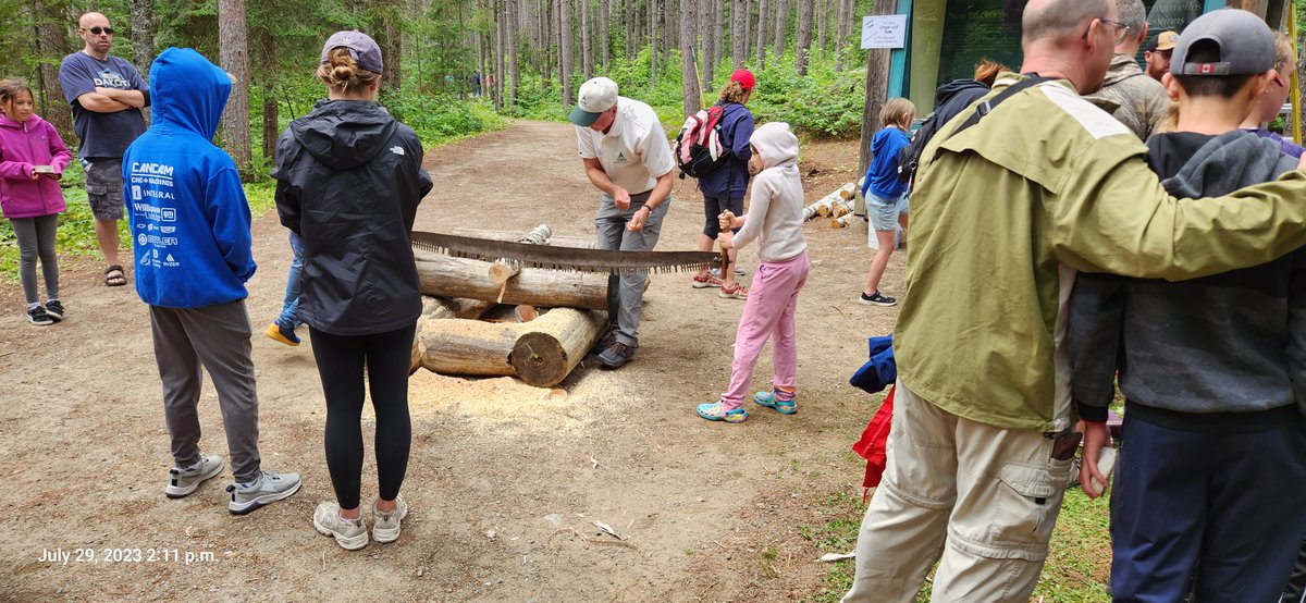 Algonquin Forestry tweet media