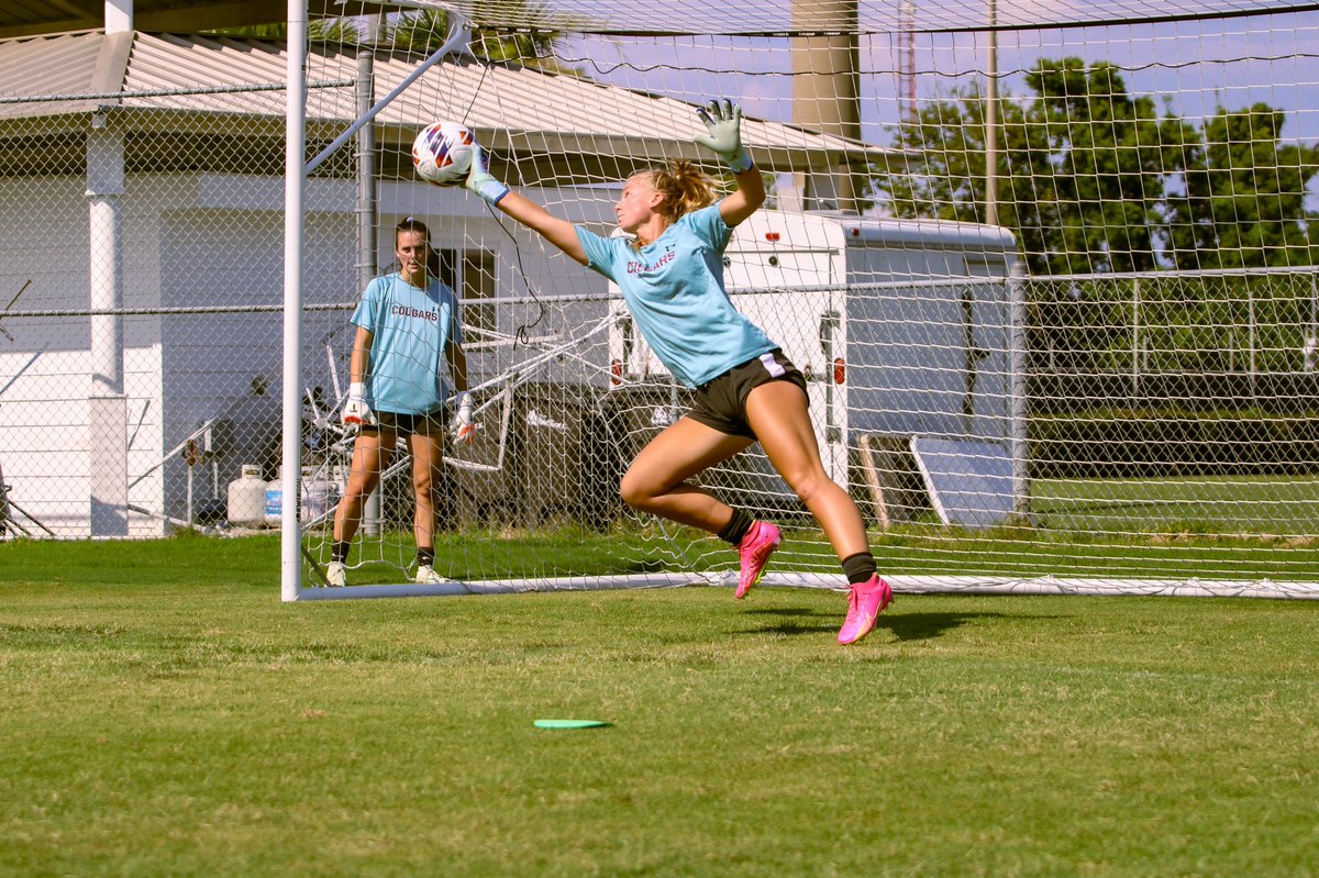 CofCWSOC's tweet photo. Back on our pitch.

#TheCollege🌴⚽️ https://t.co/inTTFK7ljb