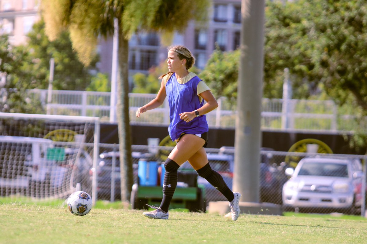 CofCWSOC's tweet photo. Back on our pitch.

#TheCollege🌴⚽️ https://t.co/inTTFK7ljb
