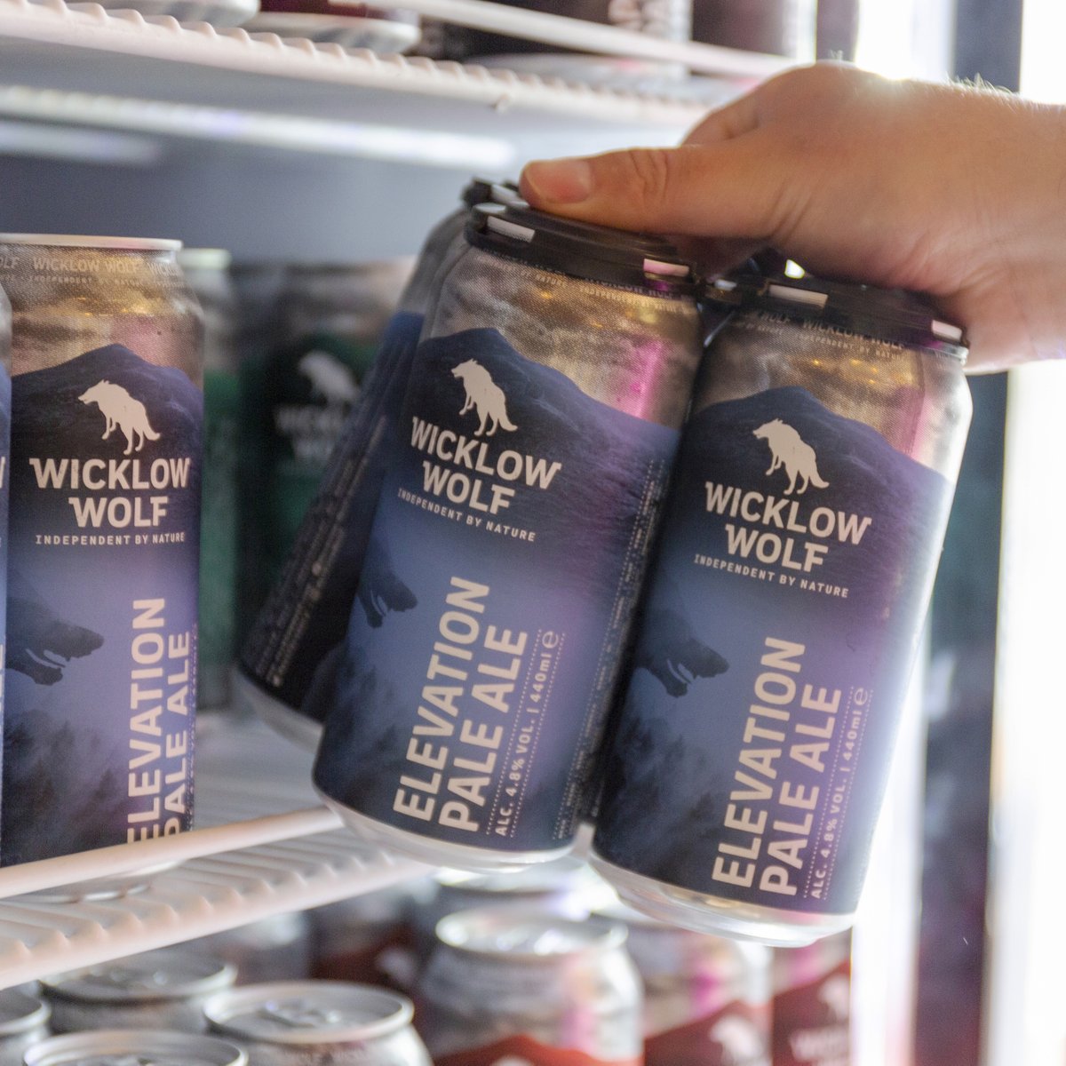 Wicklow Wolf Taproom tweet media