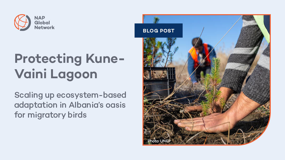 NAP_Network's tweet photo. How has #Albania restored an oasis for migratory🦤birds?
Through an #EcosystemBasedAdaptation project prioritized by its #NAP, 🇦🇱 recovered the biodiversity & ecosystem services in the Kune-Vaini Lagoon System, ensuring local communities' livelihoods.
👉https://t.co/CxJnvpzfKW https://t.co/LDM6PL2kff