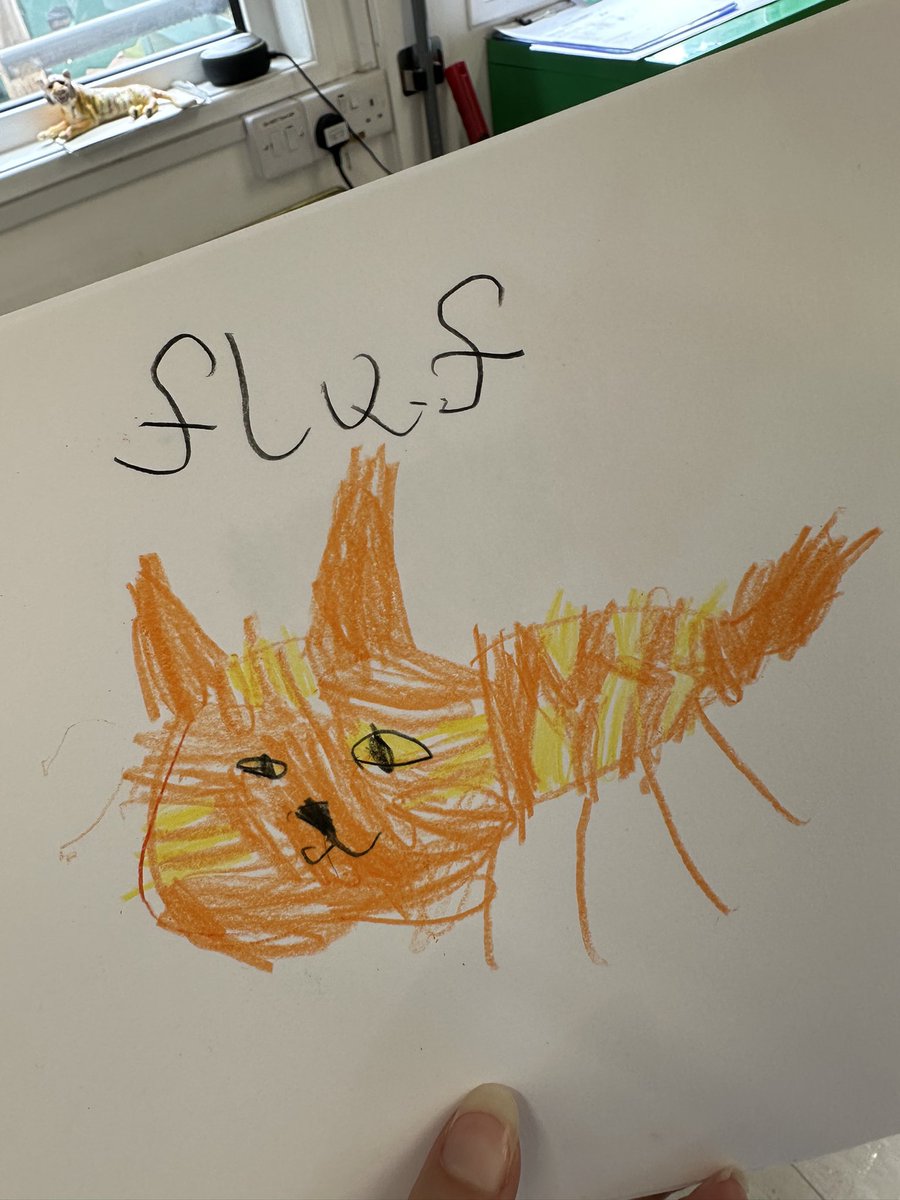 AshtonGateOSC's tweet photo. Holiday Club Orange Week #Drawbellascat #cat #fluff #orange 🧡🌅🏀🍊🥕🔥🦀🦊 https://t.co/qJhNBTxJPM
