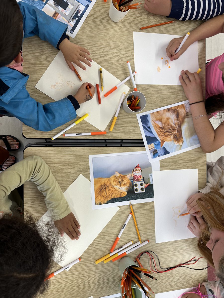AshtonGateOSC's tweet photo. Holiday Club Orange Week #Drawbellascat #cat #fluff #orange 🧡🌅🏀🍊🥕🔥🦀🦊 https://t.co/qJhNBTxJPM