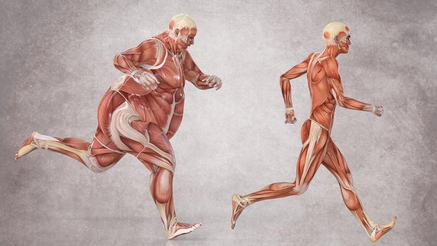 amerix's tweet photo. Make the conscious decision to live a healthy life.

 Fix your:

 • Physicality by losing fat &amp; getting strong.

• Mentality by facing your fears, learning new skills &amp; revolutionize your mind.

• Spirituality by living a righteous life.

Don't be stagnant.

#BetterTogether https://t.co/tkzcCLfs54