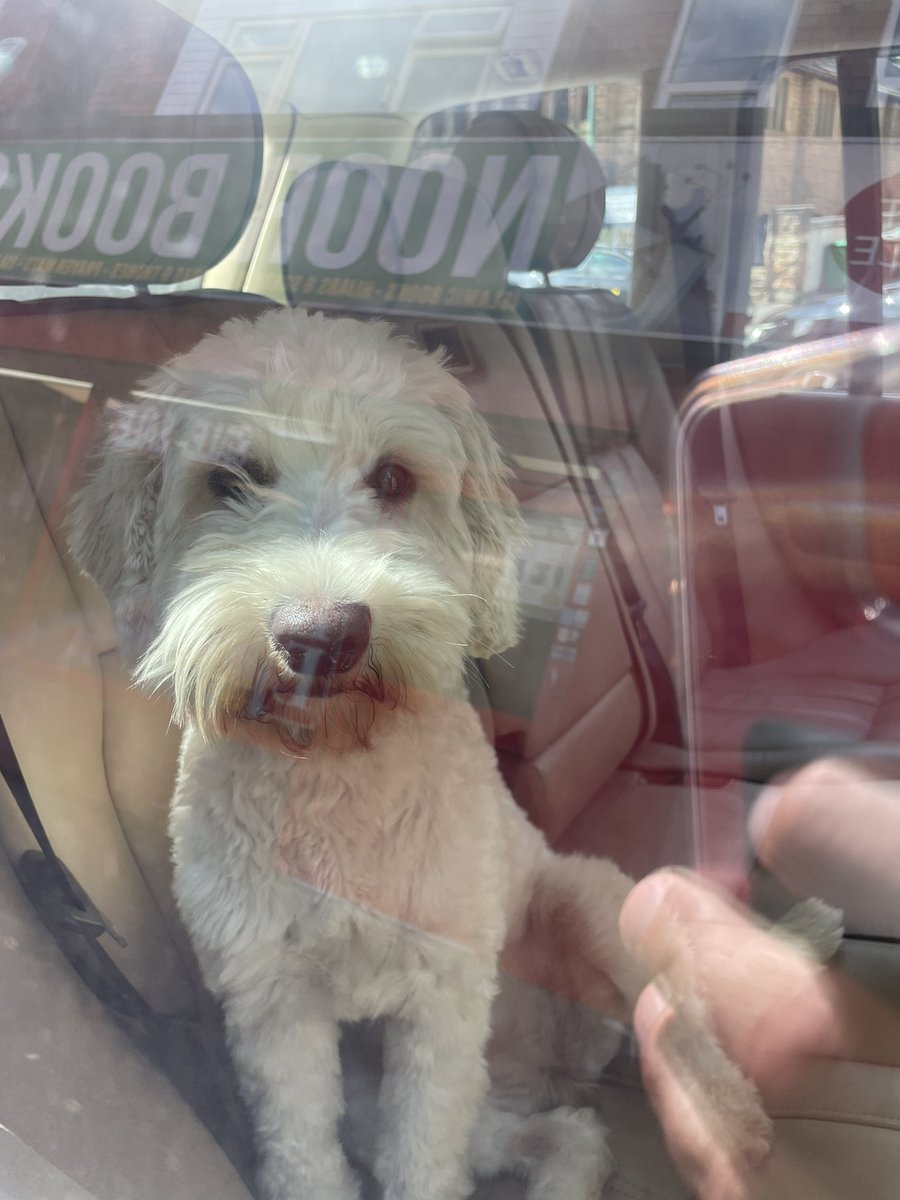 Jonathanholmesz's tweet photo. Pcn issued for parking on pavement, and strong words of advise given for leaving dog in car with no water or fresh air! @ParkingReview @REACTNottingham @Pavementsforpe2 @PedestrianPaths @ParkingTeamNttm @BlatantWatch @PavementParking  #yousaidwedid #pavementparking https://t.co/BpKRjC6YFv