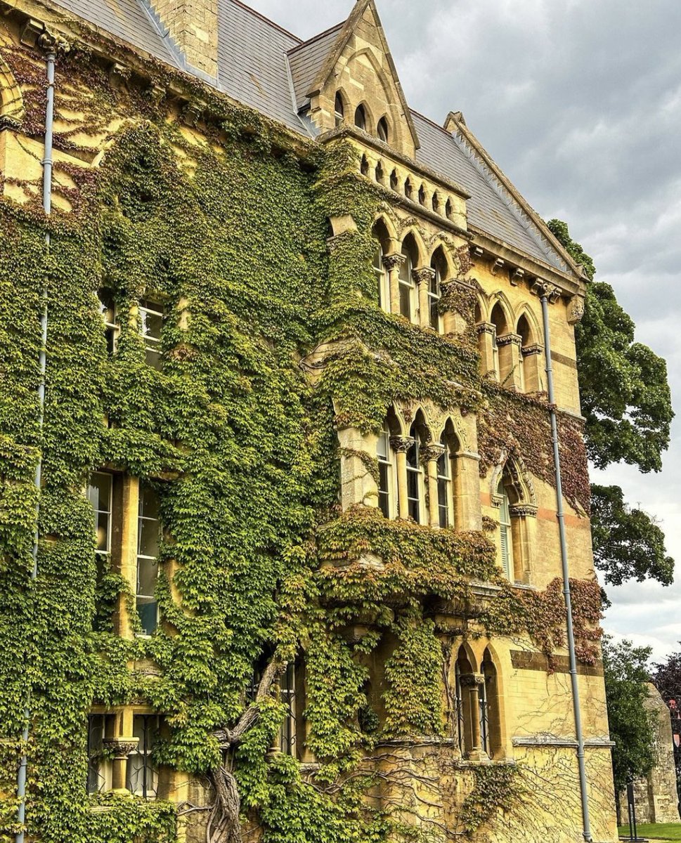 Clemson MBA Program tweet media