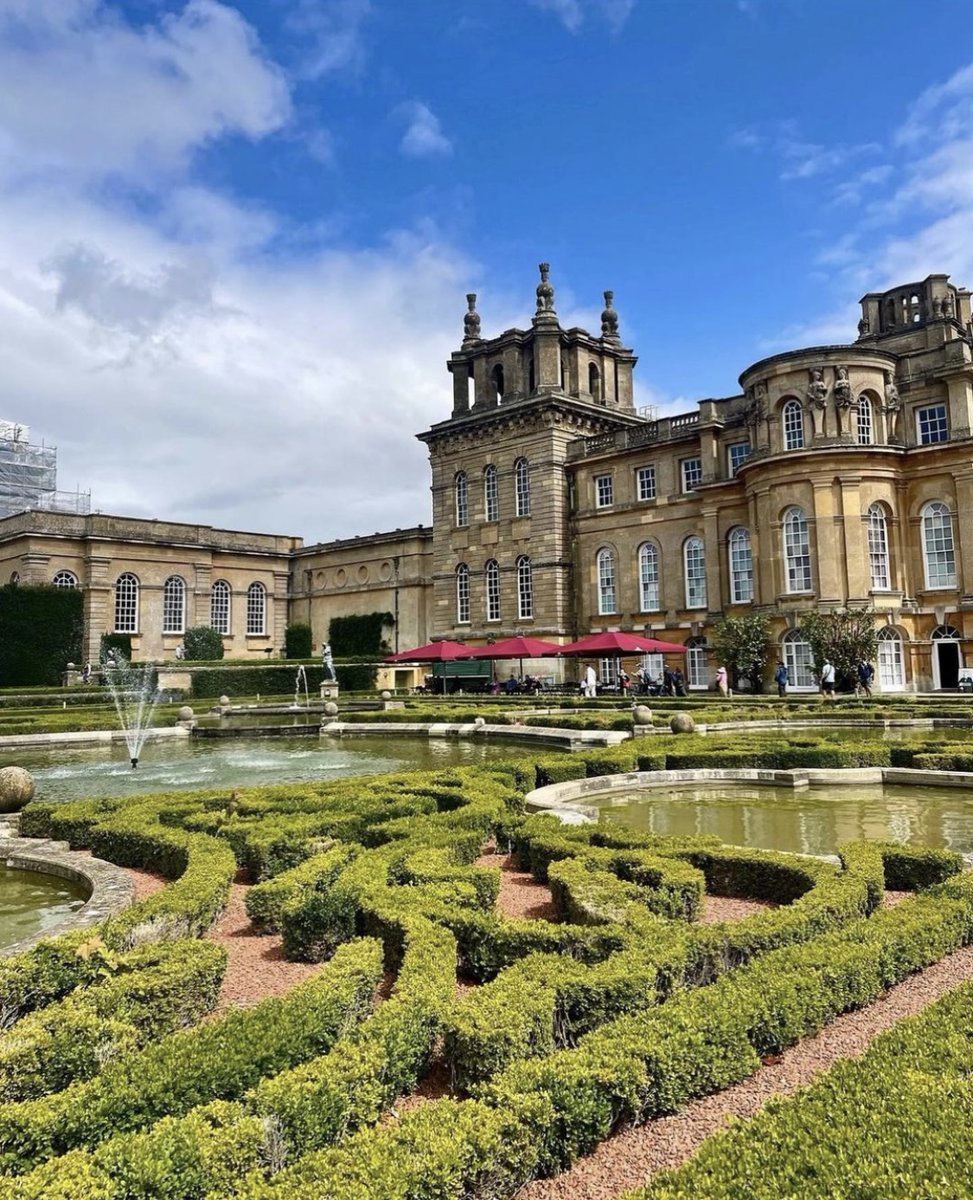 Clemson MBA Program tweet media