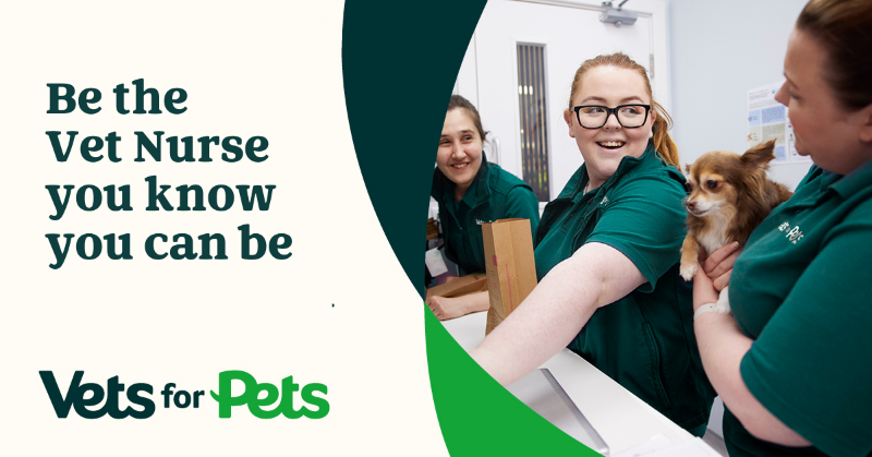 PromotingPeop1e's tweet photo. Join @VetsforPetsUK as a Registered Veterinary Nurse. You’ll have the opportunity to develop your career in the way you want. With a competitive salary &amp; a great range of benefits, we’ll take care of you as you take care of the pets we love.