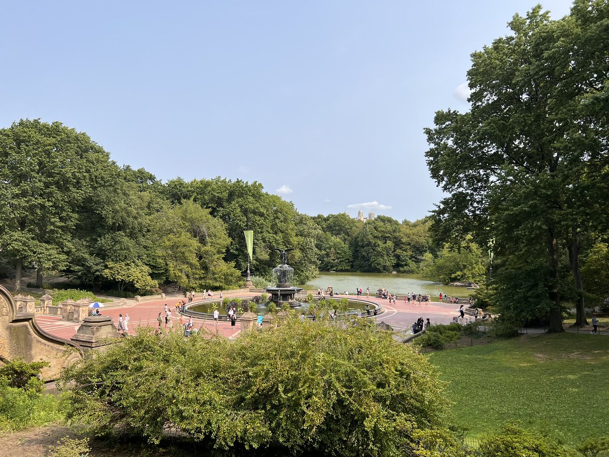 Peter Brase tweet media