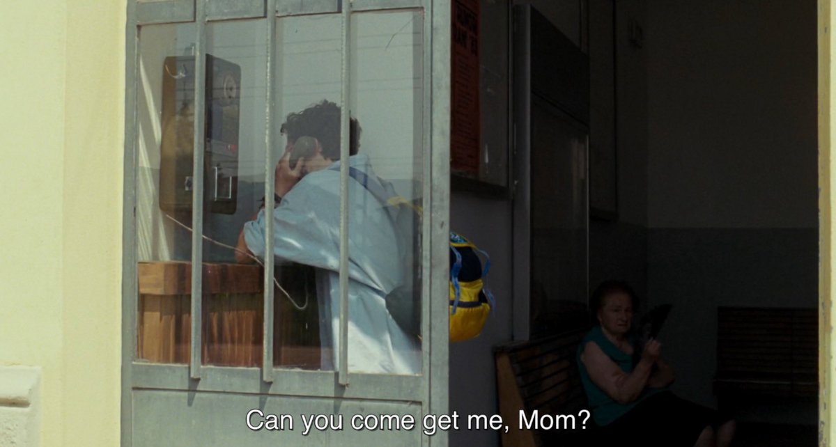 call me by your name tweet media