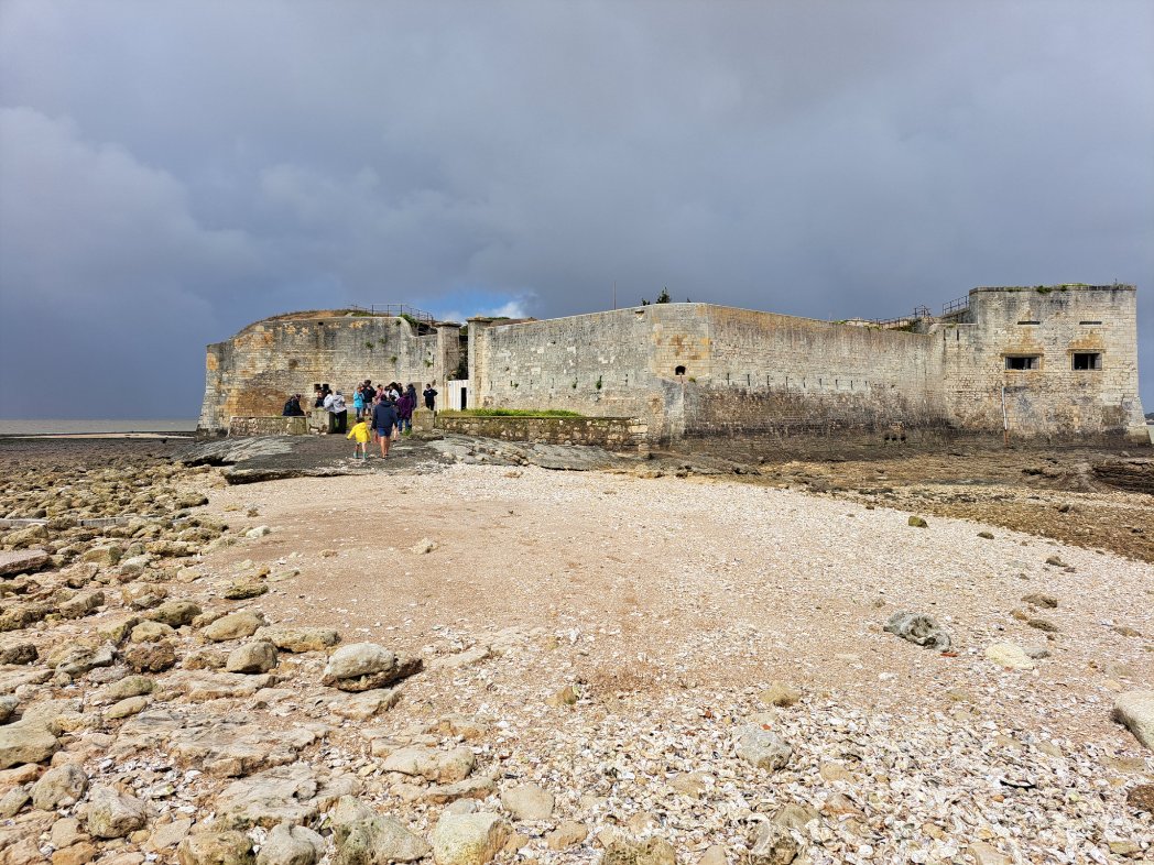 HildeStuyck's tweet photo. Vandaag een van de zovele forten van Napoleon bezocht: Fort Enet. Ligt op een half uur wandelen in zee. Weg er naartoe wordt omgeven door oesterbanken. Scheuren in het fort worden jaarlijks opgemeten ter controle. Streek is aardbevinggevoelig.
#forten #Napoleon #Fouras #Charente https://t.co/epPkxDw7Vx