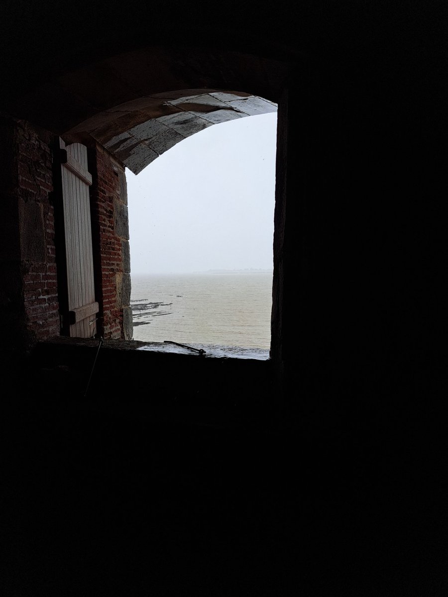HildeStuyck's tweet photo. Vandaag een van de zovele forten van Napoleon bezocht: Fort Enet. Ligt op een half uur wandelen in zee. Weg er naartoe wordt omgeven door oesterbanken. Scheuren in het fort worden jaarlijks opgemeten ter controle. Streek is aardbevinggevoelig.
#forten #Napoleon #Fouras #Charente https://t.co/epPkxDw7Vx
