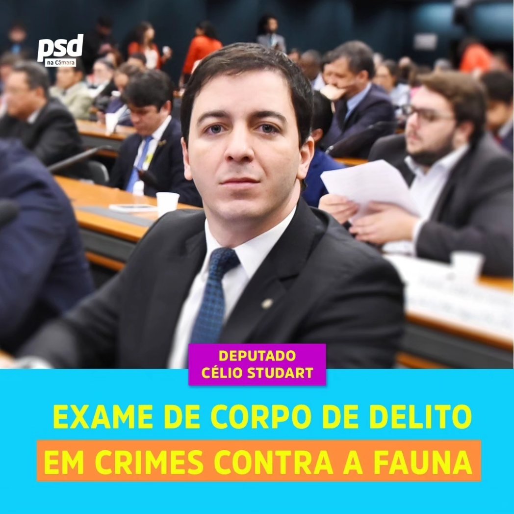 psdcamara's tweet photo. Está em análise na Câmara o projeto do deputado @CelioStudart que dá prioridade à realização do exame de corpo de delito quando houver crime contra animais domésticos ou silvestres (PL 813/23).
#PSDnaCâmara #PeríciaCriminal #CausaAnimal #CorpoDeDelito https://t.co/Kpl4E7Yxw7