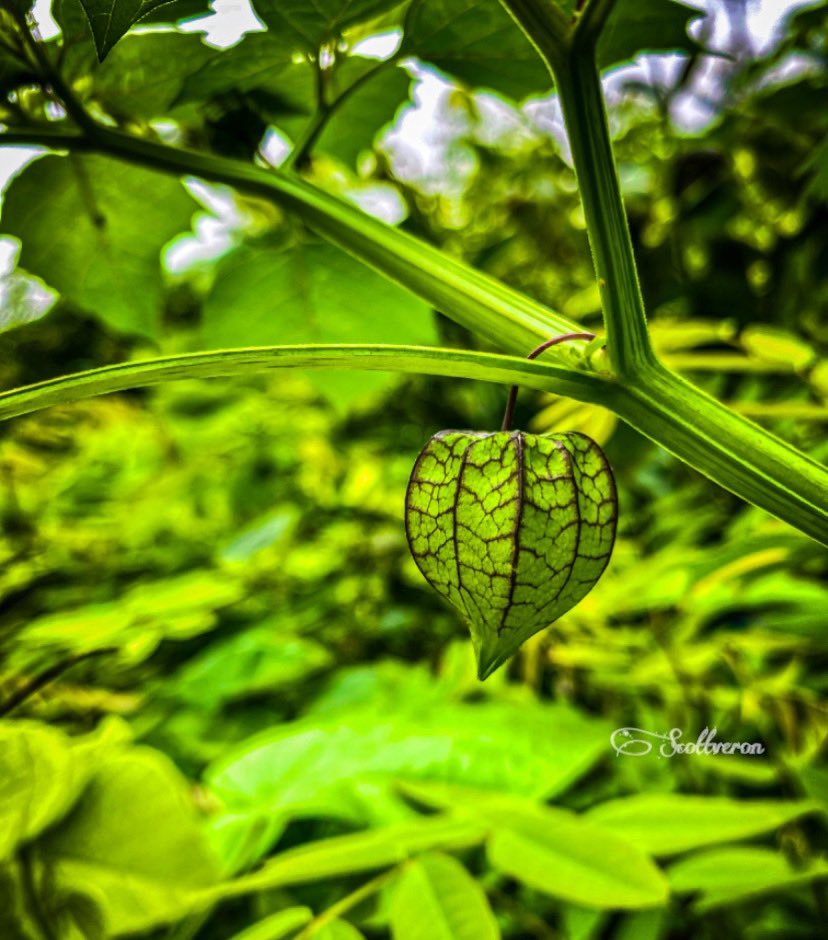 ___theVeron's tweet photo. Shot by iPhone 📱 📸🌝
@__theSeyram https://t.co/x19crWdwwz