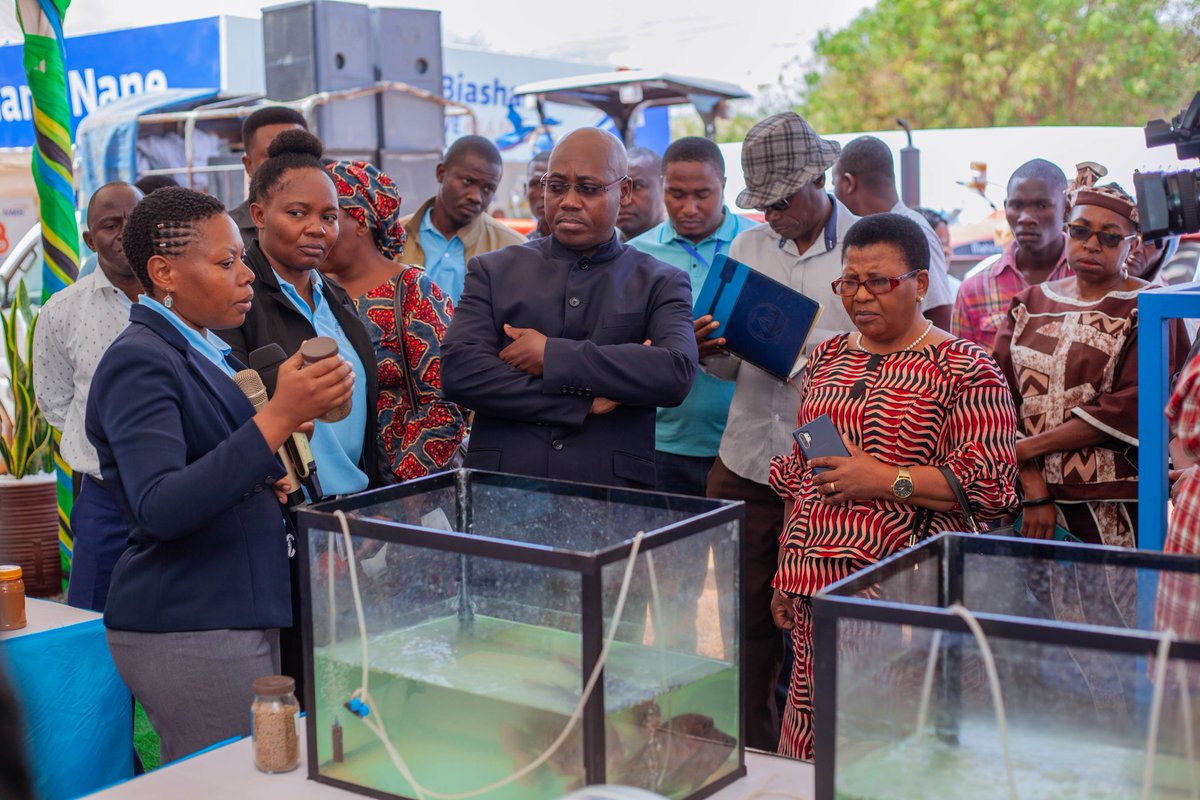 udomtheofficial's tweet photo. Mkuu wa Mkoa wa Singida Mhe. Peter Serukamba akipata maelezo kutoka kwa waonyeshaji Banda la Chuo Kikuu cha Dodoma katika maonyesho ya Nanenane kanda ya kati yanayoendelea katika Viwanja vya Nzuguni jijini Dodoma
#udomembracingknowledge https://t.co/3E6SBGkbaL