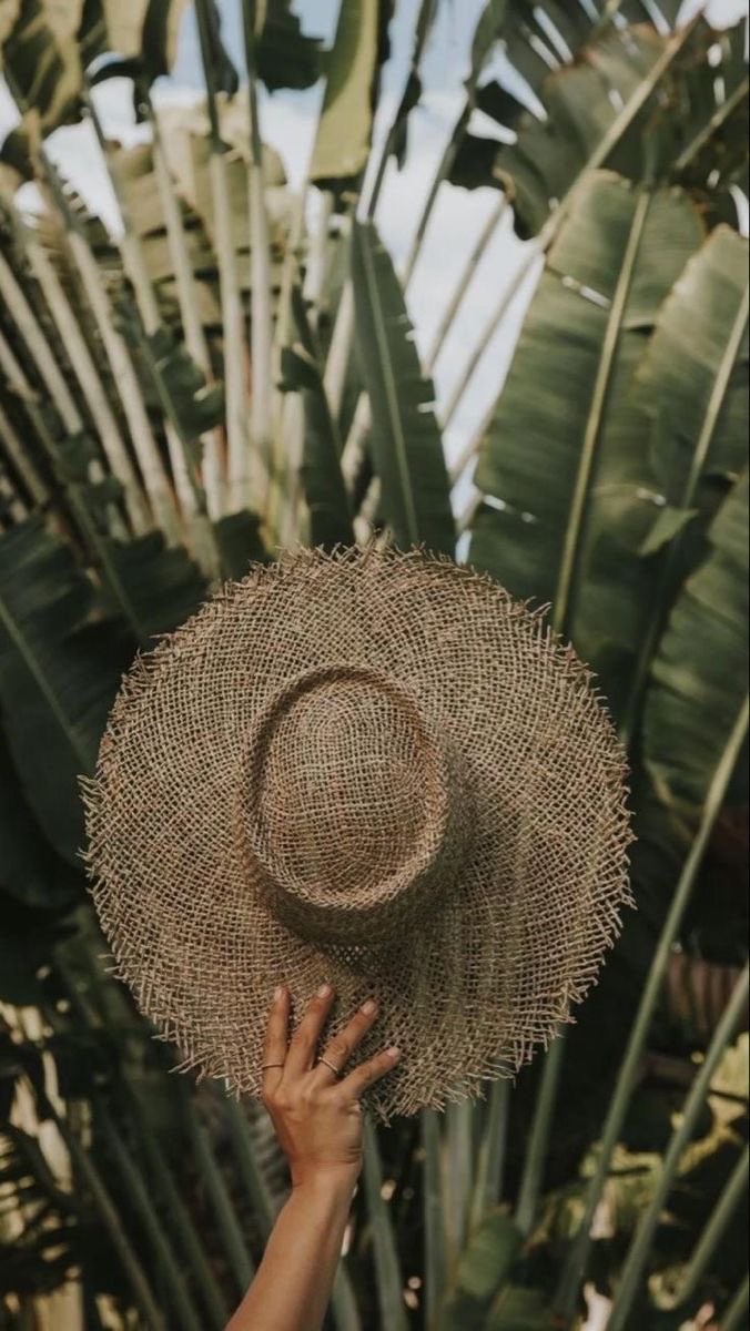 envogueover40's tweet photo. Life is like a straw hat, you can choose its style and wear it with pride 
#hat #quotes #holiday #green https://t.co/OPEskL6d5Q