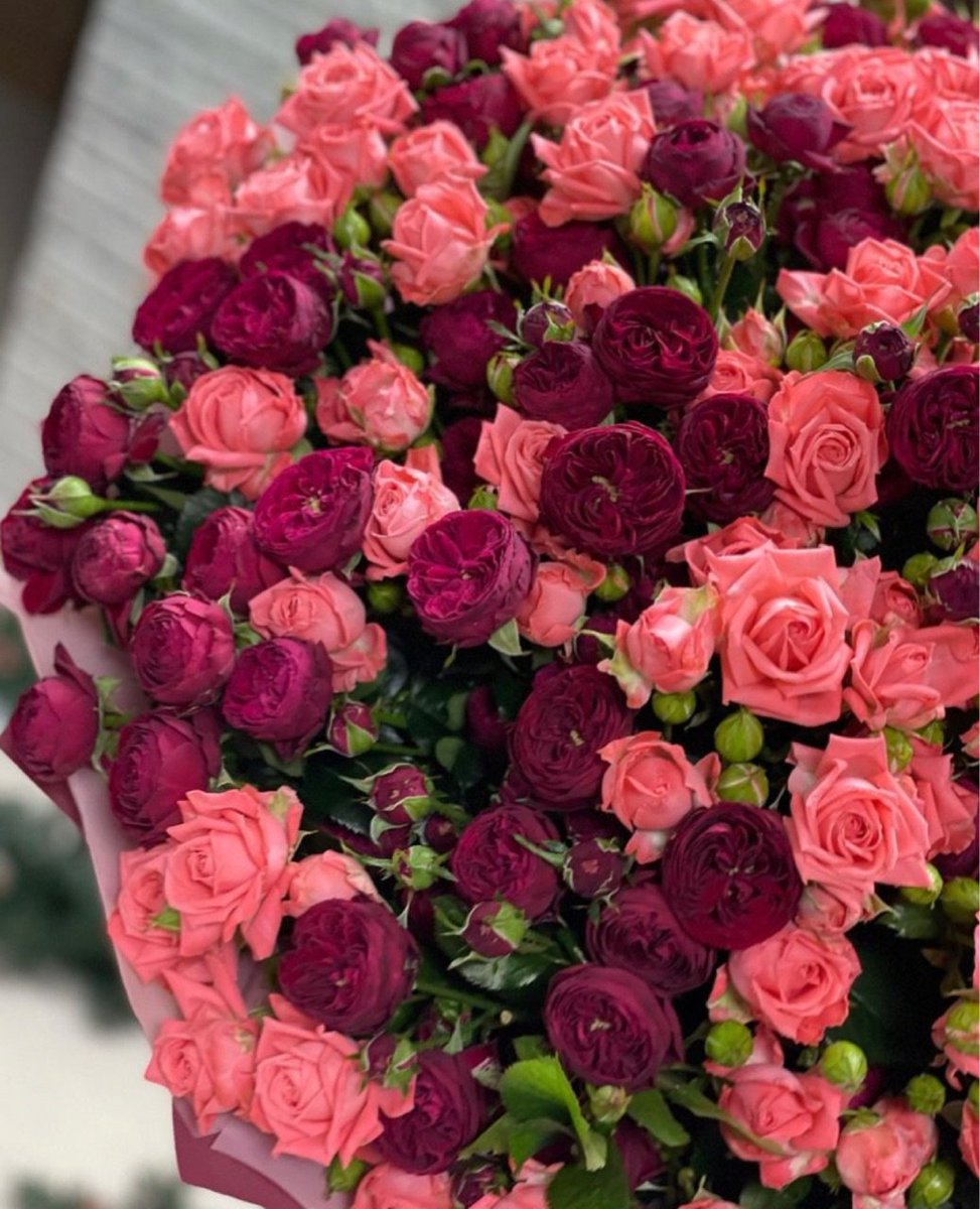 poeticalphotos's tweet image. 