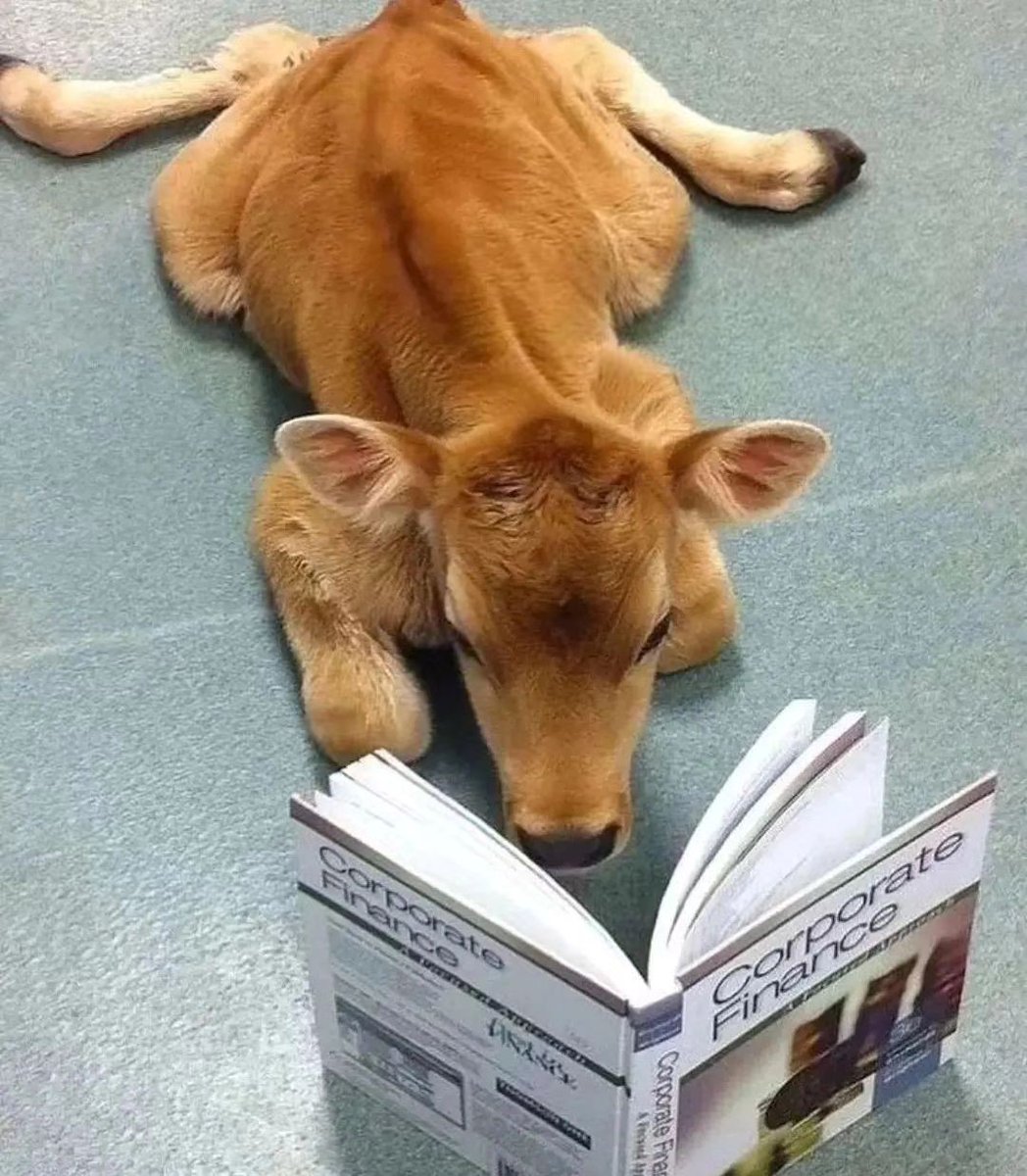 cowlovers4's tweet photo. https://t.co/4661YQNQU4