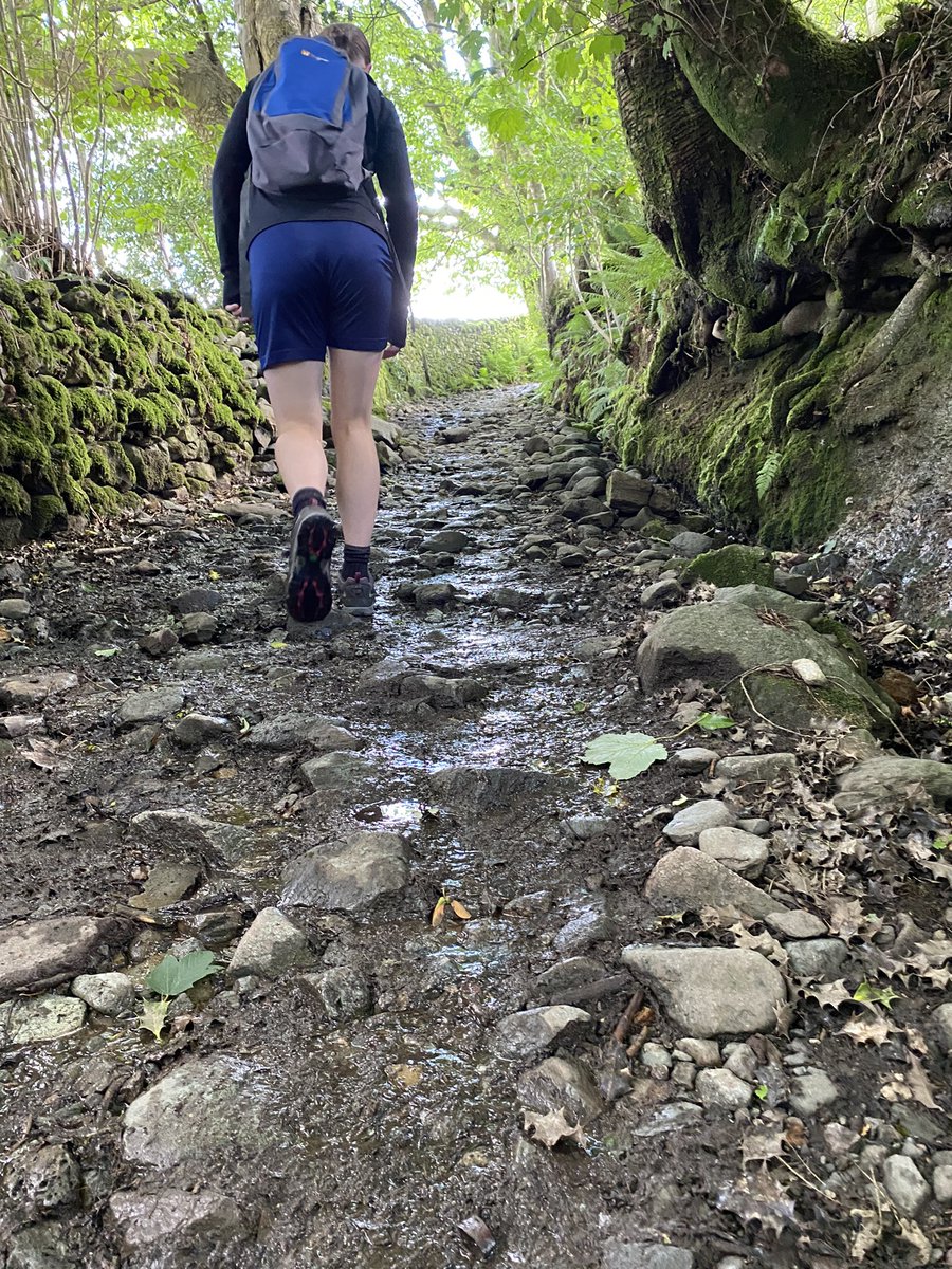 Sheilakit's tweet image. Hike to Wansfell Pike, Troutbeck and circle back to Ambleside #3for3