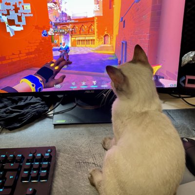 introvicio's tweet photo. #NuevaFotoDePerfil https://t.co/2jB8uKqs54
