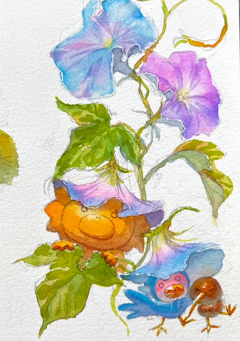 「morning glory watercolor (medium)」 illustration images(Latest)