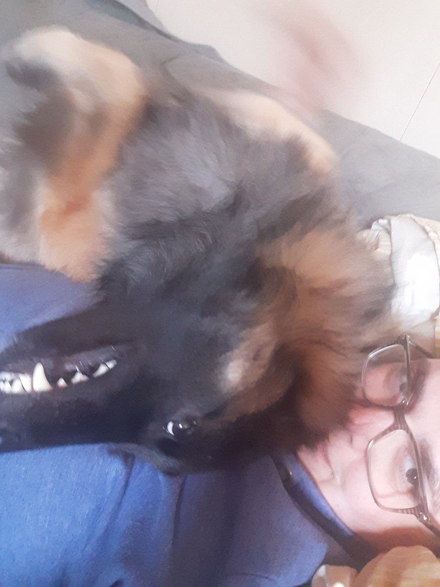 Jaye_Arch's tweet photo. @Mae_Westside I am so sorry. Completely lost track of Twitter. But dog tax must be paid. https://t.co/chIumQmbtQ