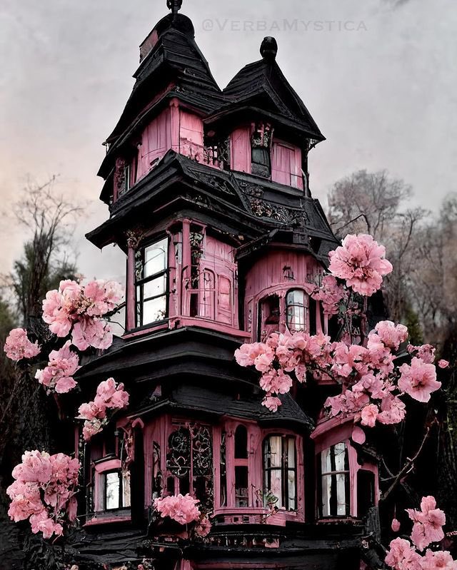🩷🖤 victorian house🩷🖤