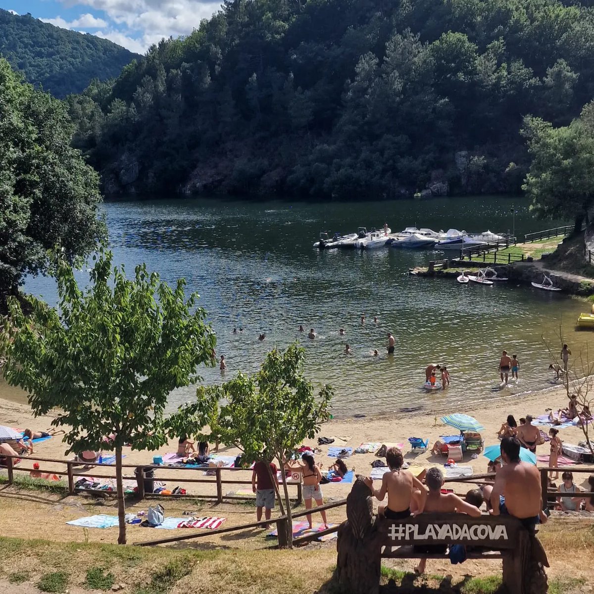 Restaurante Playa Da Cova tweet media