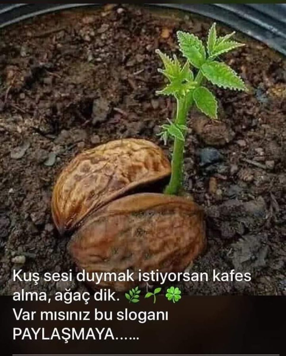 123serif's tweet photo. Bu görüşteyim https://t.co/SK6ftNQ2Rz