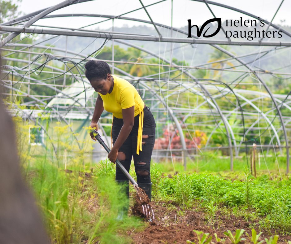 Have a passion for agriculture and looking to learn something new every day? Sign up for the St Kitts & Nevis edition of the Rural Women’s Ag-cademy now! 🇰🇳 Either click the link in our bio or shoot us a message to access the registration form.