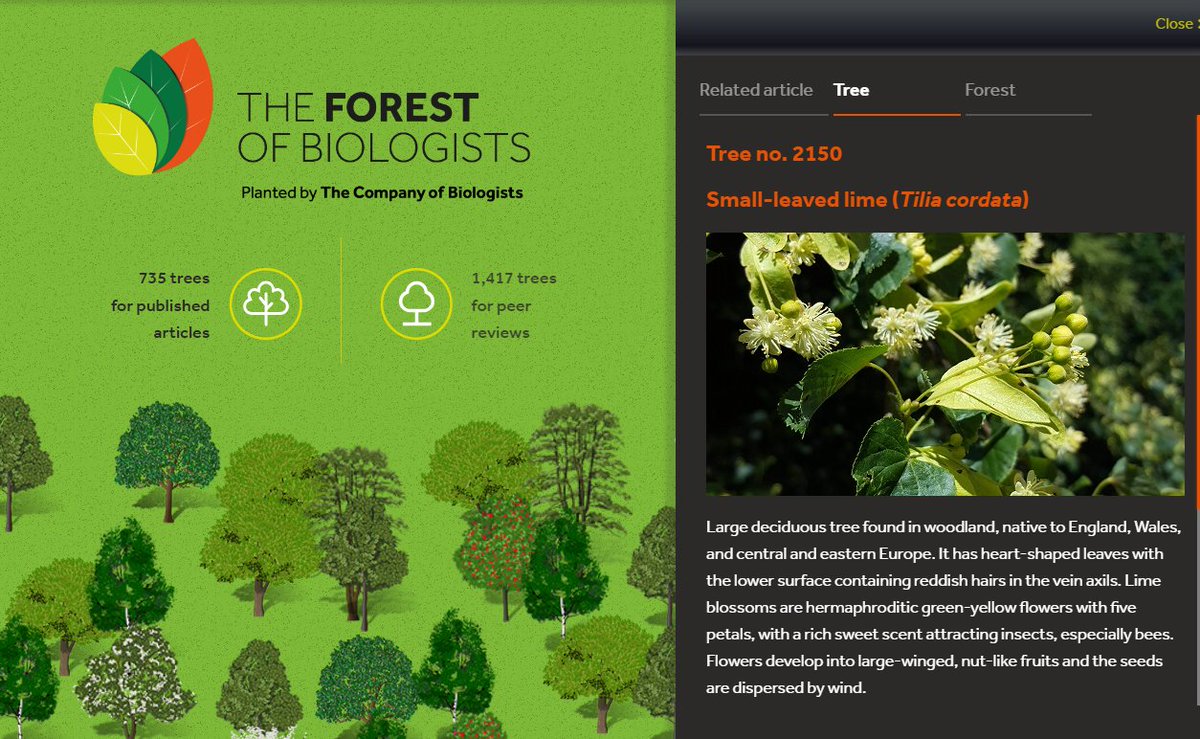 The Forest of Biologists (@for_biologists) on Twitter photo 2150 trees have already been planted or preserved through the #forestofbiologists, an initiative from <a href="/Co_Biologists/">The Company of Biologists</a> to help protect and grow #biodiversity.
With each published Research/Review article, and each completed peer review, the forest grows.
forest.biologists.com/about/ 2150 trees have already been planted or preserved through the #forestofbiologists, an initiative from <a href="/Co_Biologists/">The Company of Biologists</a> to help protect and grow #biodiversity.
With each published Research/Review article, and each completed peer review, the forest grows.
forest.biologists.com/about/
